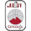 https://img.czwygroup.com/img/basketball/team/4b06fe02aaa7da5901e5698485059da0.png